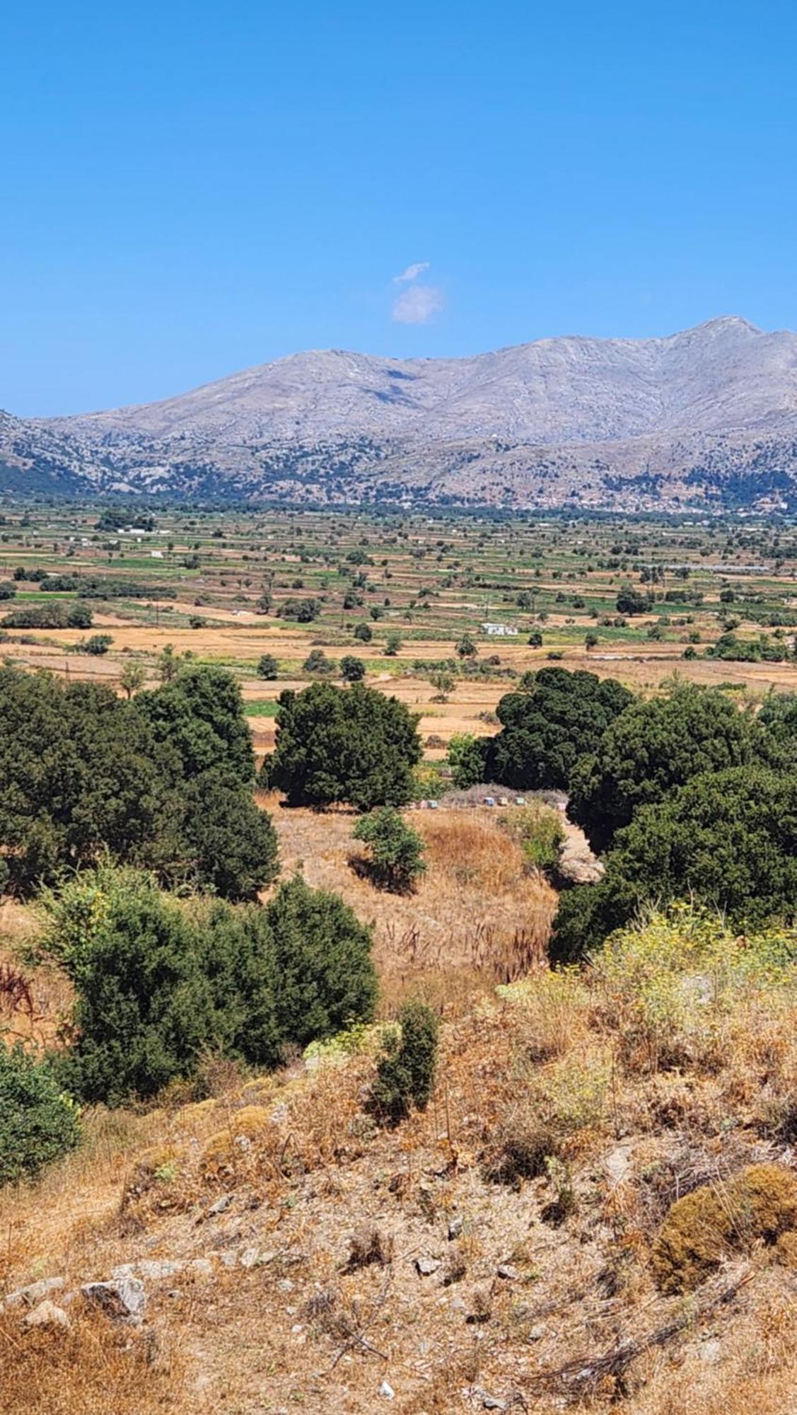 Dionysus Lasithi Plateau Magoulas Exterior photo
